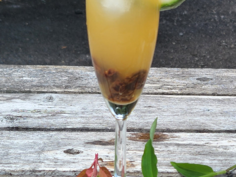 初物❗箱入りレモン息子(栽培期間中農薬不使用・有機肥料・ノーワックス)皮まで食べて❗