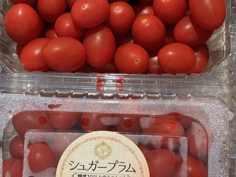 【定期購入専用】シュガープラム1kg 糖度10度以上の極甘ミニトマト　ジューシーな甘さがクセになる贅沢な完熟・高リコピン高糖度(300003)
