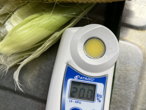 入江農園のスーパースイートコーン4kg