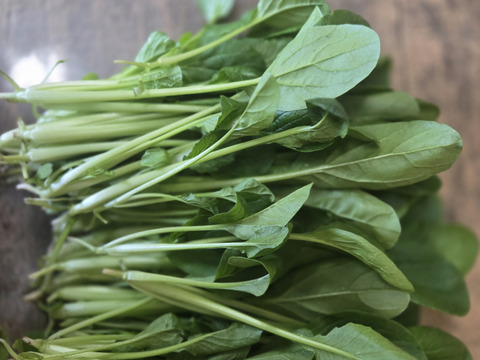 有機JAS  元気たっぷりルッコラ！小松菜各×500g