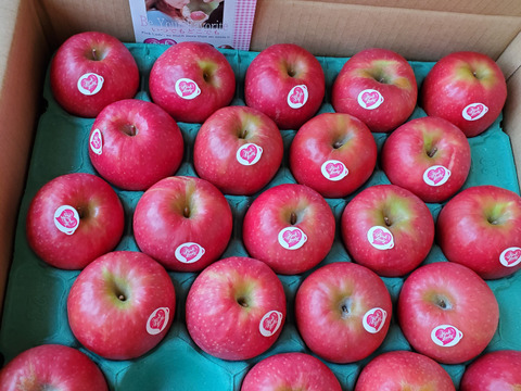 【発送中🍎】ピンクレディー®︎ 家庭用B品 5キロ箱使用 長野県 信州 安曇野 リンゴ 幻 幻のリンゴ 予約 希少 旬 小キズあり 中玉〜小玉 商品ID31409