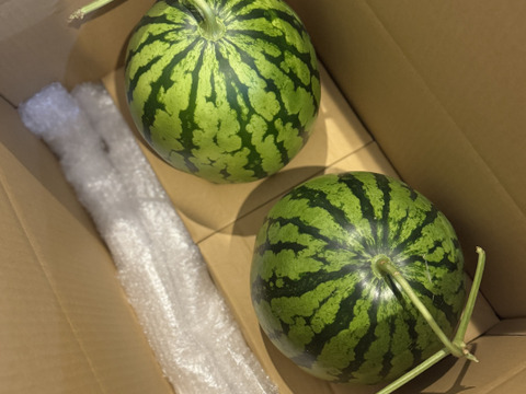 【2個セット・赤肉スイカ】M-L・化学肥料有機肥料不使用・栽培期間中農薬不使用
