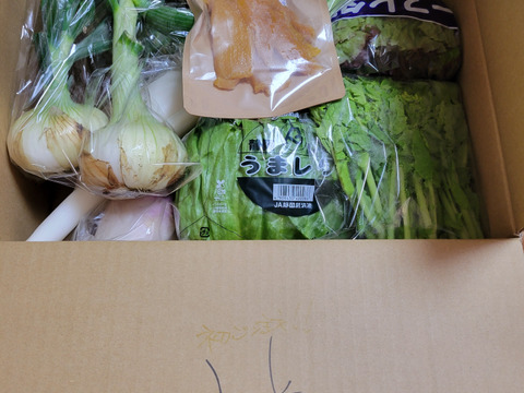 畑から採りたて発送！©静岡厳選野菜セット（12品)（本州の方限定）「熨斗対応可」