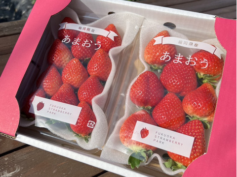 あまおう サイズ色々！270ｇ×4パック　たっぷり1080ｇSP