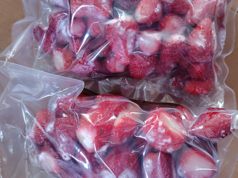 いちご農家直送！冷凍いちご 1kg(小分け500g×2袋)入り