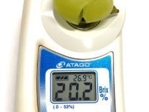 【高糖度】岡山県産　シャインマスカット　粒パック　2.8㎏以上　700ｇ×4p 2.8㎏以上