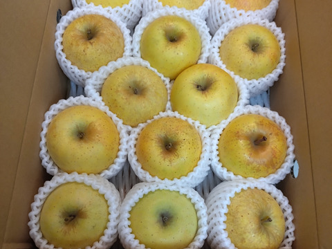 小玉はるか！【スマートフレッシュりんご家庭用約3ｋｇ】（玉数指定不可）