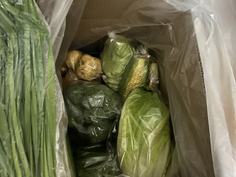 FARMABEまなごむじん直売所の便り。
毎日採れたてが並ぶ野菜をお届け‼️
100サイズ（3〜4人）
※画像は季節による参考野菜となります。