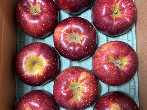 綺麗な秋映 ３キロ箱 7～11玉 長野県産