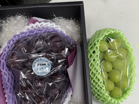 【即日発送4房限定！】1房詰1.1kg以上！超大粒大房富士の輝一房詰め　岡山県産 特秀ランク(熨斗対応可)