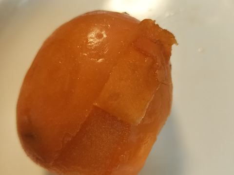 【ビワ農家のおやつ】冷凍房州びわ 450g