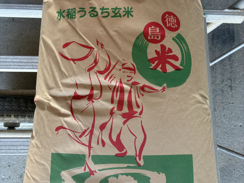 自家栽培 令和8年度新米❣️玄米30キロ 令和8年度 新米30キロ（玄米）：徳島県産のコシヒカリ｜食べチョク