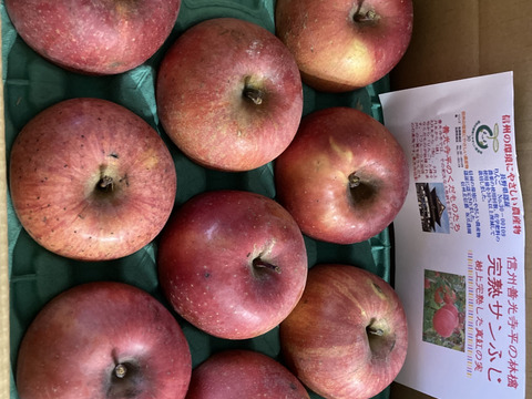 「完熟サンふじ」鮮度保持貯蔵　スマートフレッシュ済分　訳あり　ご家庭専用　3キロコース　（8～12個入り）