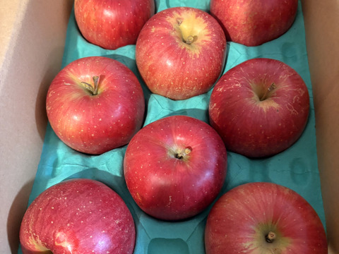 食べた時の果汁が凄い！家庭用シナノスイート（２kg 6個〜8個）