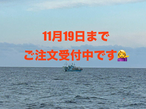 【出来たてを生発送！】漁師の嫁が作ったハタハタ寿司ぶりこ入！３パック900g