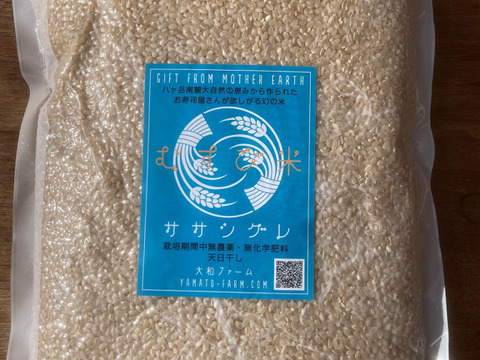 【新米】【備蓄用】幻の米ササシグレ（自然栽培）玄米3㎏（天日干し）2023年産【真空パック】