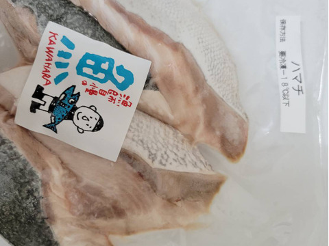 魚詰合せ味付け無し1.5セット11袋