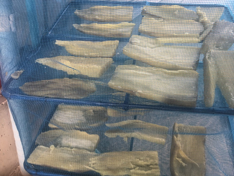 2024年12月品評会の全さつまいもで1番の賞を受賞‼︎ さつまいも（紅はるか）【新物】Mサイズ　5kg