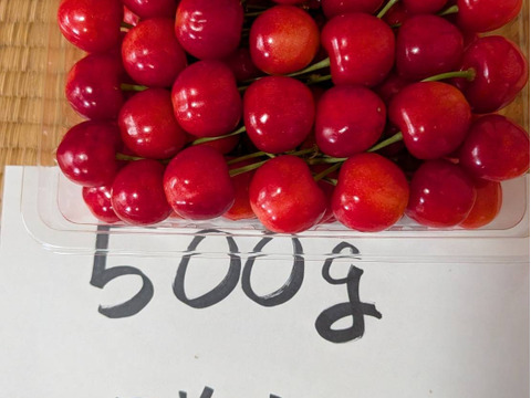 紅秀峰 】 【 2027年予約販売 】🍒 山形県天童産 さくらんぼ 500g