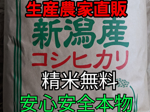 【SALE!】令和4年度新潟県長岡産コシヒカリ玄米20kg【精米無料】
