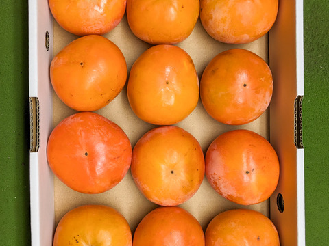 今が旬！甘い甘い『富有柿』2.5Kg（約12個 サイズ：M）