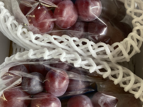 超希少新品種　家庭用　富士の輝き　2房入合計1.1キロ以上