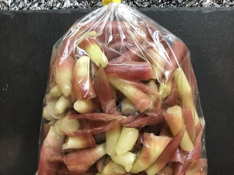 𓆸 全国の生産量90 を誇る高知県産 期間限定価格 𓍯茎みょうが𓍯 500g 高知県産 食べチョク 農家 漁師の産直ネット通販 旬の食材を生産者直送 𓆸 全国の生産量90 を誇る高知県産 期間限定価格 𓍯茎みょうが𓍯 500g 高知県産 食べチョク 農家 漁師の産直ネット通販 旬の食材を生産者直送