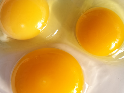 平飼いの色々な卵10個とキクイモの新芽1キロのセット野菜セット