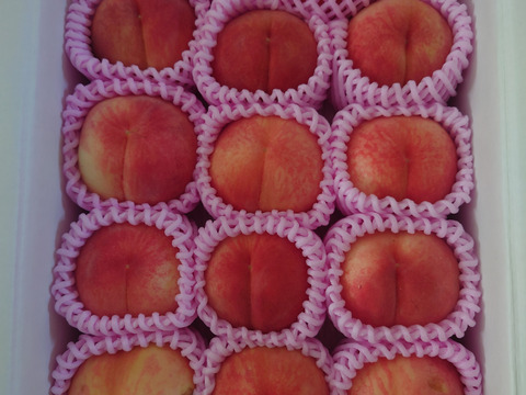 家庭用あかつき桃朝どり直送便3kg(10〜14玉入り)