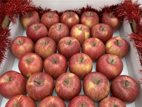 園主一押し!味をとことん突き詰めた青森りんご、“葉とらずサンふじ”　家庭用　約５kg　蜜入り期待大!　農家直送