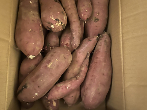 さつまいも(紅はるか)10kg S 〜Lサイズ