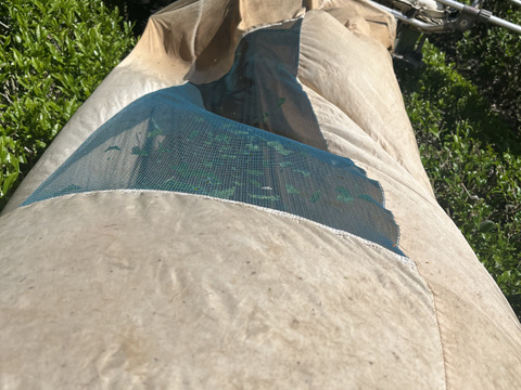 【ポンと入れるだけ！】ティーパック　数量限定！【一番茶のみ使用】　新茶　5月収穫　静岡県産　個包装5g×15