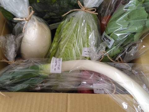 自然栽培野菜一人暮らしの方にオススメセット【7〜9 種類】