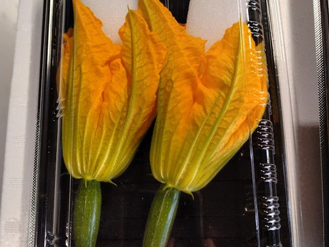 北海道産花ズッキーニ　6本
