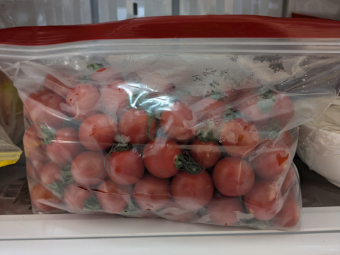 愛媛県産  高糖度ミニトマト 1kg