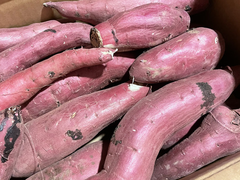 訳あり！熟成紅はるか　5kg  さつまいも