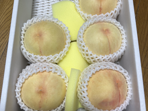 岡山白桃シリーズ随一の高糖度！【川中島白桃・白皇】（ご家庭用・約2kg）