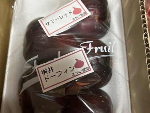 完熟いちじく多品種盛り合わせ
