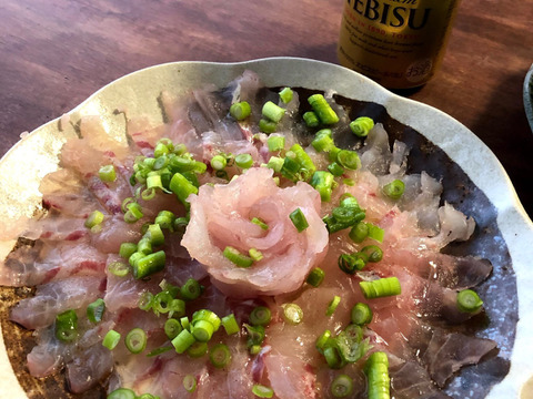 漁師直送！　新鮮天然真鯛　1.5Kg