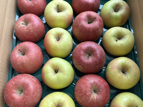 赤と黄色‼︎ 青森県産 サンふじ&名月(訳あり)約5kg サンふじ8個名月8個　計16個