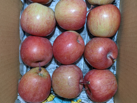 リンゴ加工原料