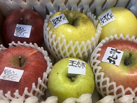 信州りんご🍎小玉約1.8キロ(10～15個)