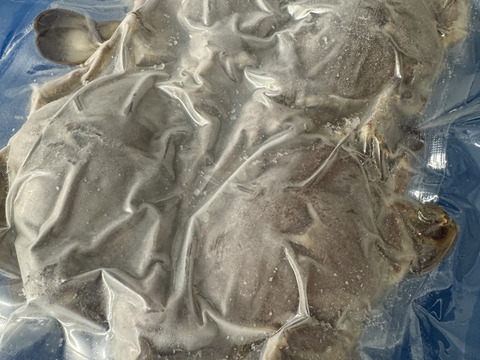 【凍眠凍結】‼️蟹🦀どうですか？
ヒラツメガニ　500g位入り(3〜5匹)入り
冷凍真空パック入り