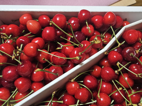 1kg★名和果樹園の訳あり家庭用紅さやか（佐藤錦×セネカの交配種）【常温便】お菓子作りにピッタリ！深い赤色と酸味のさくらんぼ★産地直送お取り寄せ通販