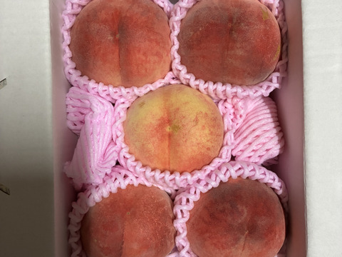 樹上完熟あかつき（桃）朝どり直送便1.5kg(5〜6玉入り)：福島県産の