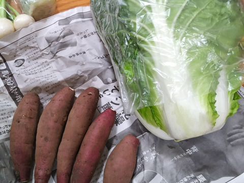 👑2年連続アワード受賞👑【未来をつくる笑み野菜】宮崎県産☆季節のお野菜セットM(8～9品程度)☆