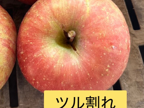 新春セール🍎約5キロ🍎レビュー数1900件突破！！葉とらずふじ【家庭用