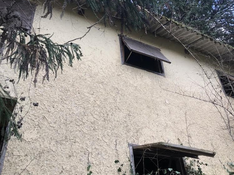 【農薬・化学肥料・除草剤不使用！】愛媛が誇る高級柑橘”ふぞろいの甘平ちゃん”3kg