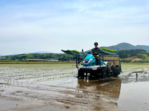 【令和7年産】驚異のもちもち食感。『ミルキークイーン』　無洗米　５kg　山形県鶴岡市産