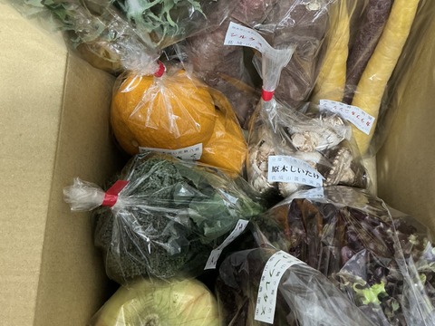 多品目栽培農家のユニーク旬野菜つめあわせ8種セット